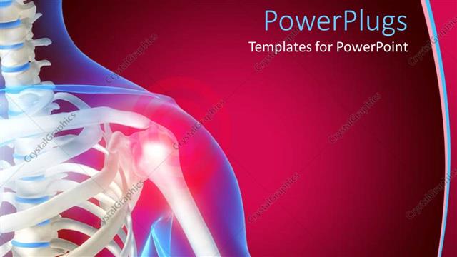  Presentation with skeleton - Skeleton showing the anatomy of shoulder, red color indicating pain in the shoulder