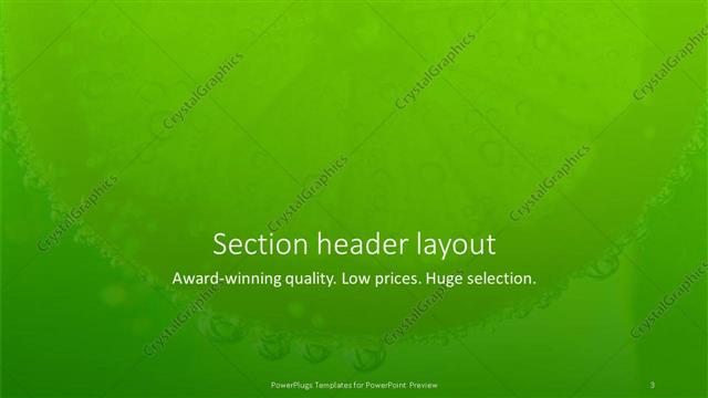 Section Header presentation slide layout