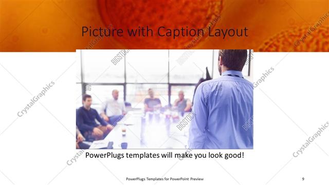 Picture with Caption presentation slide layout