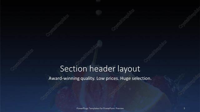 Section Header presentation slide layout