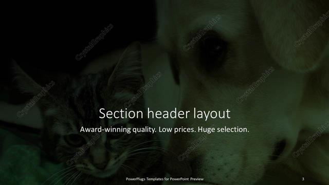Section Header presentation slide layout