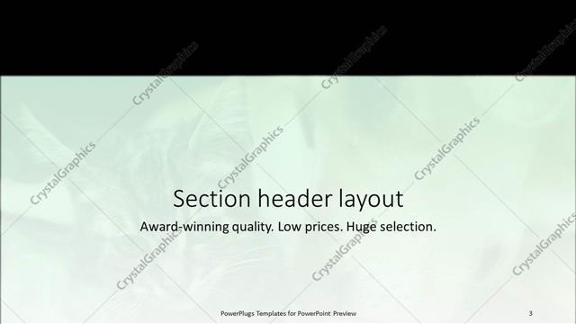 Section Header presentation slide layout