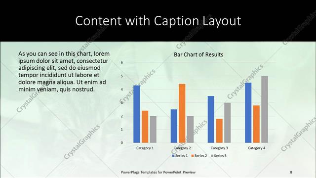 Content with Caption presentation slide layout