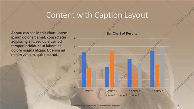 Content with Caption presentation slide layout
