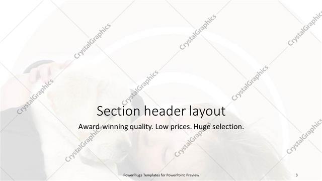 Section Header presentation slide layout