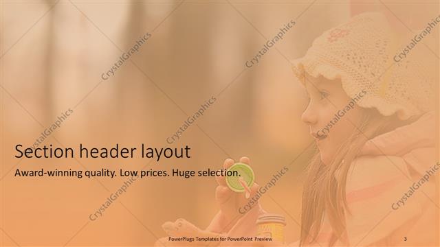 Section Header presentation slide layout