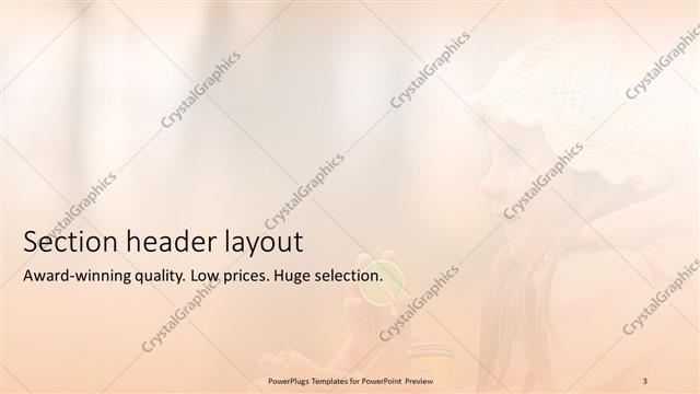 Section Header presentation slide layout
