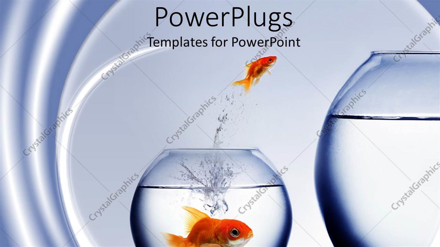 Featuring small Goldfish Jumping Out of smaller Fishbowl to larger One and large Goldfish Watching from smaller Fishbowl