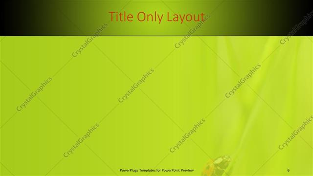 Title Only presentation slide layout
