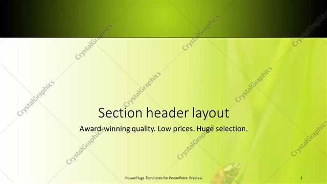 Section Header presentation slide layout