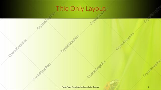 Title Only presentation slide layout
