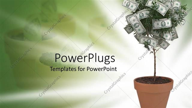  Presentation with money - Small money?tree in terra cotta pot ?on green and white background