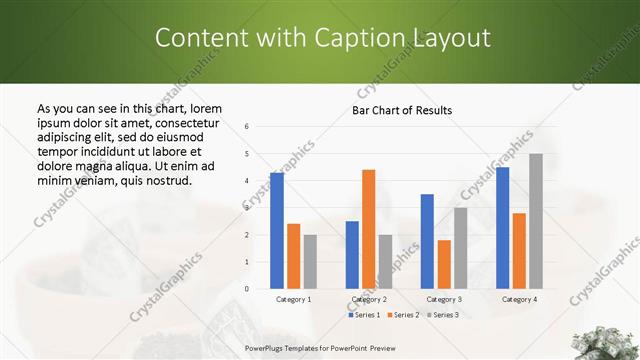 Content with Caption presentation slide layout