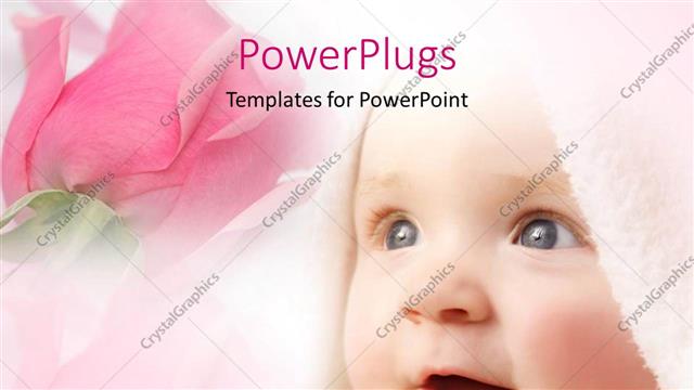  Presentation with pink rose - Smiling baby face covered in bath towel with pink rose in background