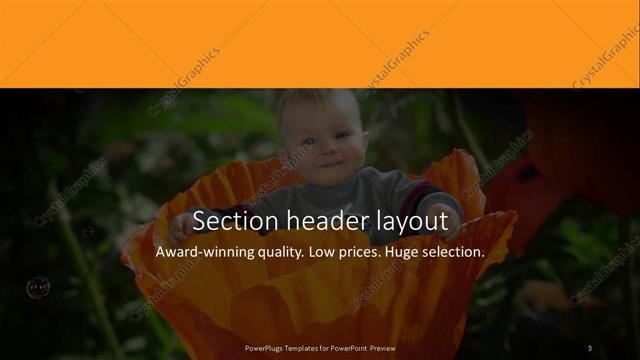 Section Header presentation slide layout