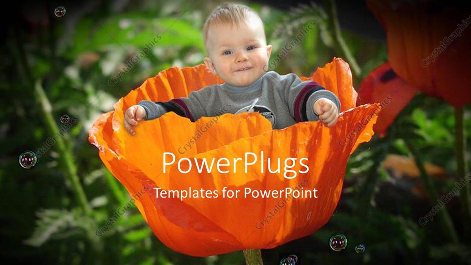 Premium Template for PowerPoint & Google Slides 