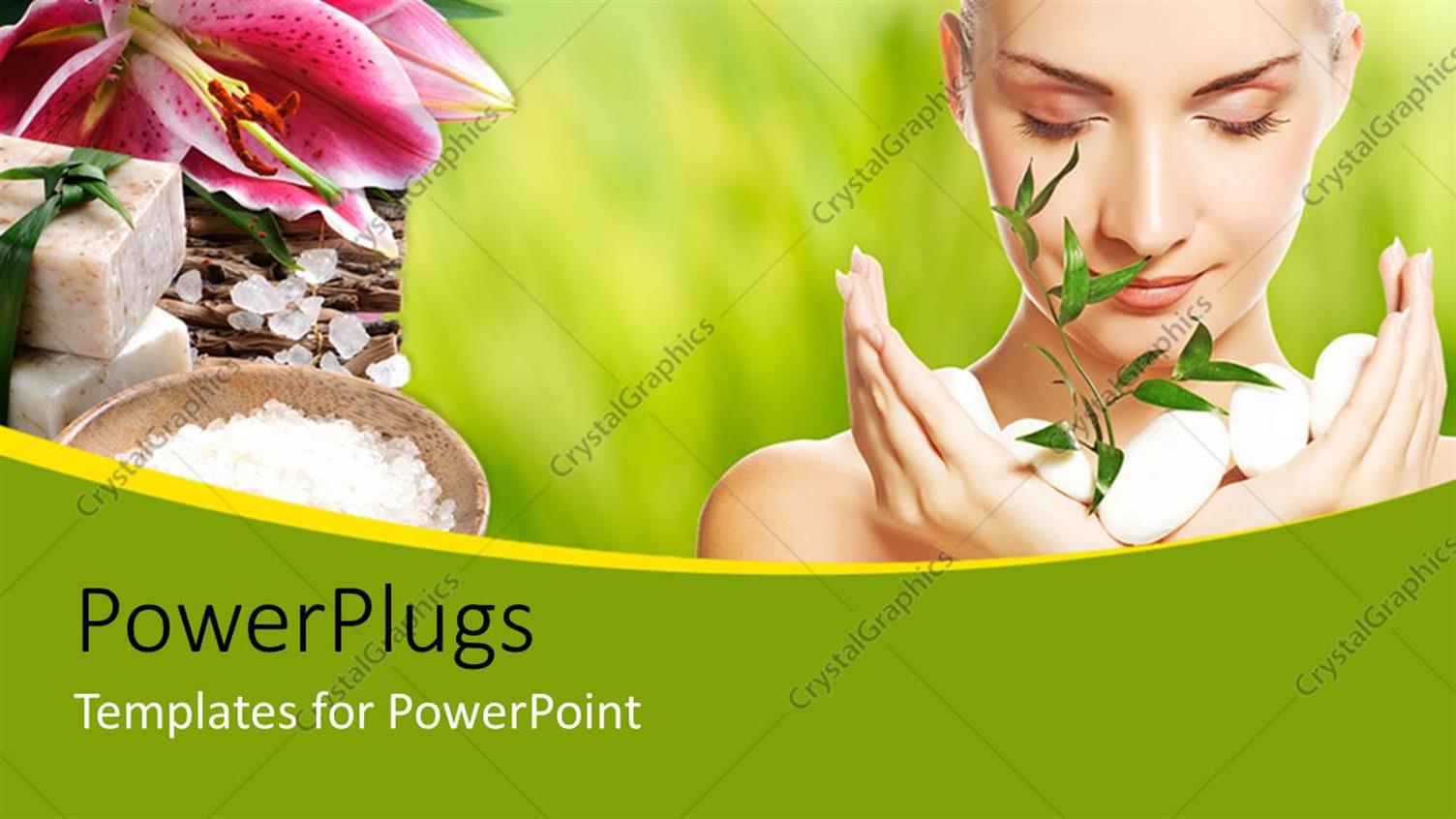 Premium Template for PowerPoint & Google Slides 