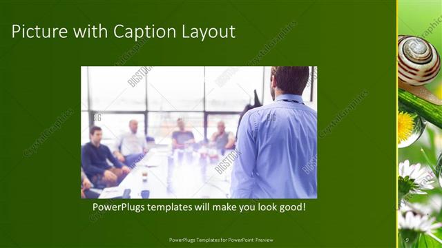 Picture with Caption presentation slide layout