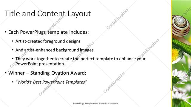Title and Content presentation slide layout