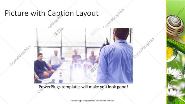 Picture with Caption presentation slide layout