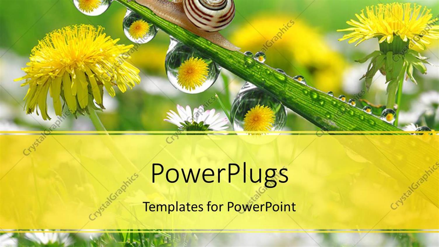 Premium Template for PowerPoint & Google Slides 