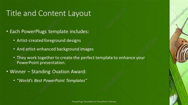Title and Content presentation slide layout
