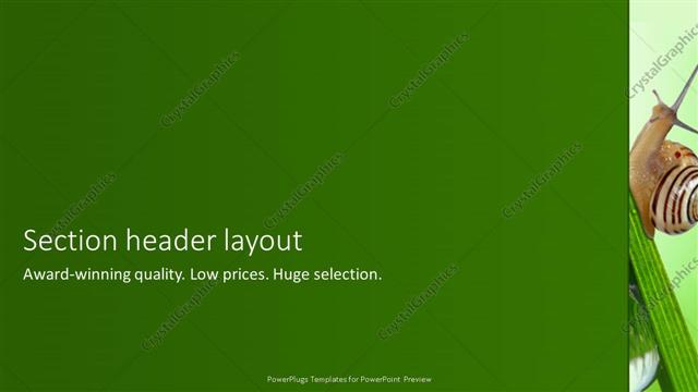 Section Header presentation slide layout