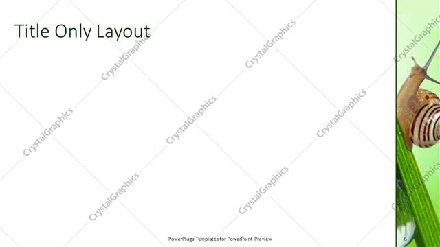 Title Only presentation slide layout