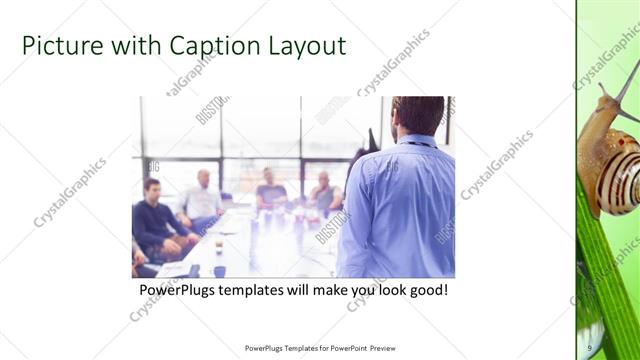 Picture with Caption presentation slide layout