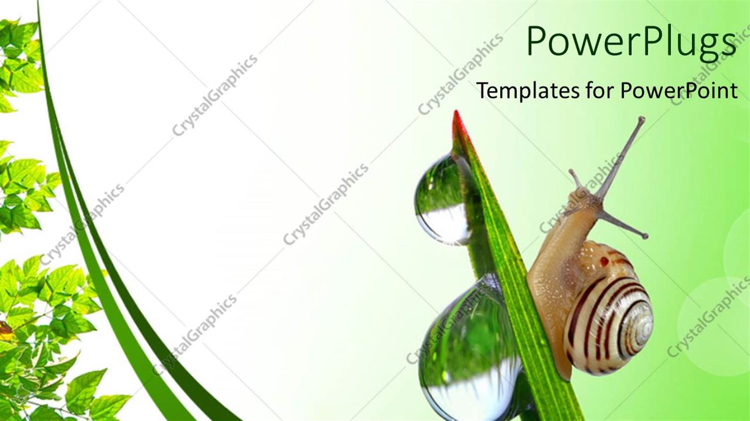 Premium Template for PowerPoint & Google Slides 