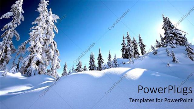  Presentation with snow - Snow alps with white snow covered trees