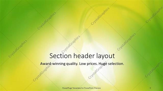 Section Header presentation slide layout