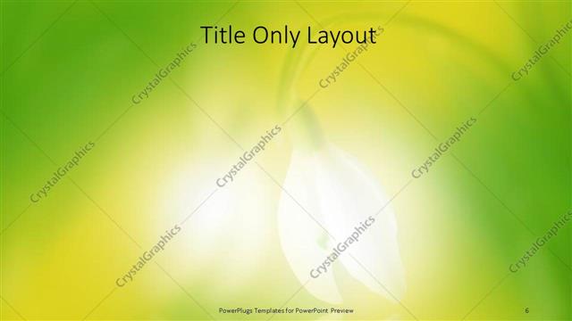 Title Only presentation slide layout