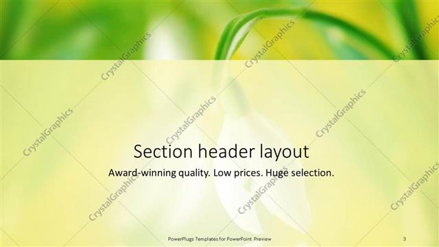 Section Header presentation slide layout