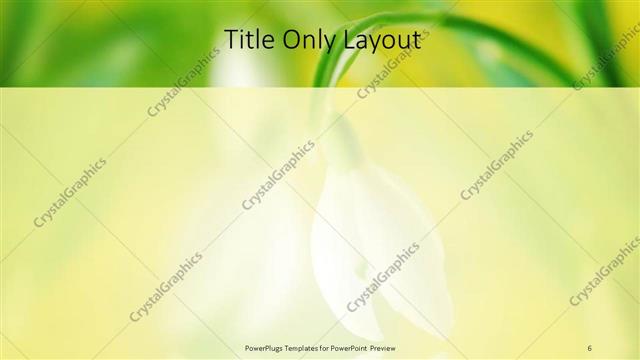 Title Only presentation slide layout