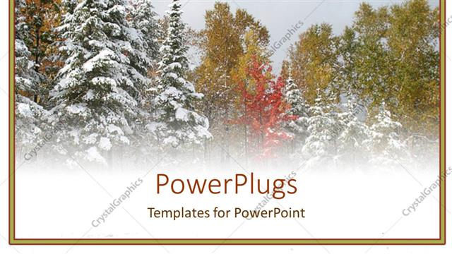  Presentation with fall - Snow fall in autumn with grey colored sky