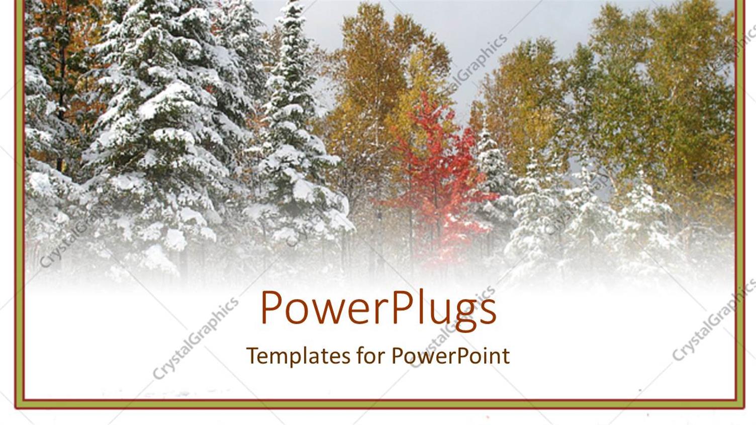 Premium Template for PowerPoint & Google Slides 