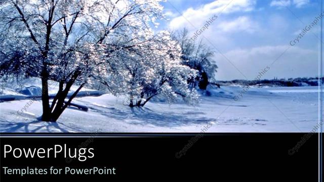  Presentation with skies - Snowy trees winter time blue skies black background