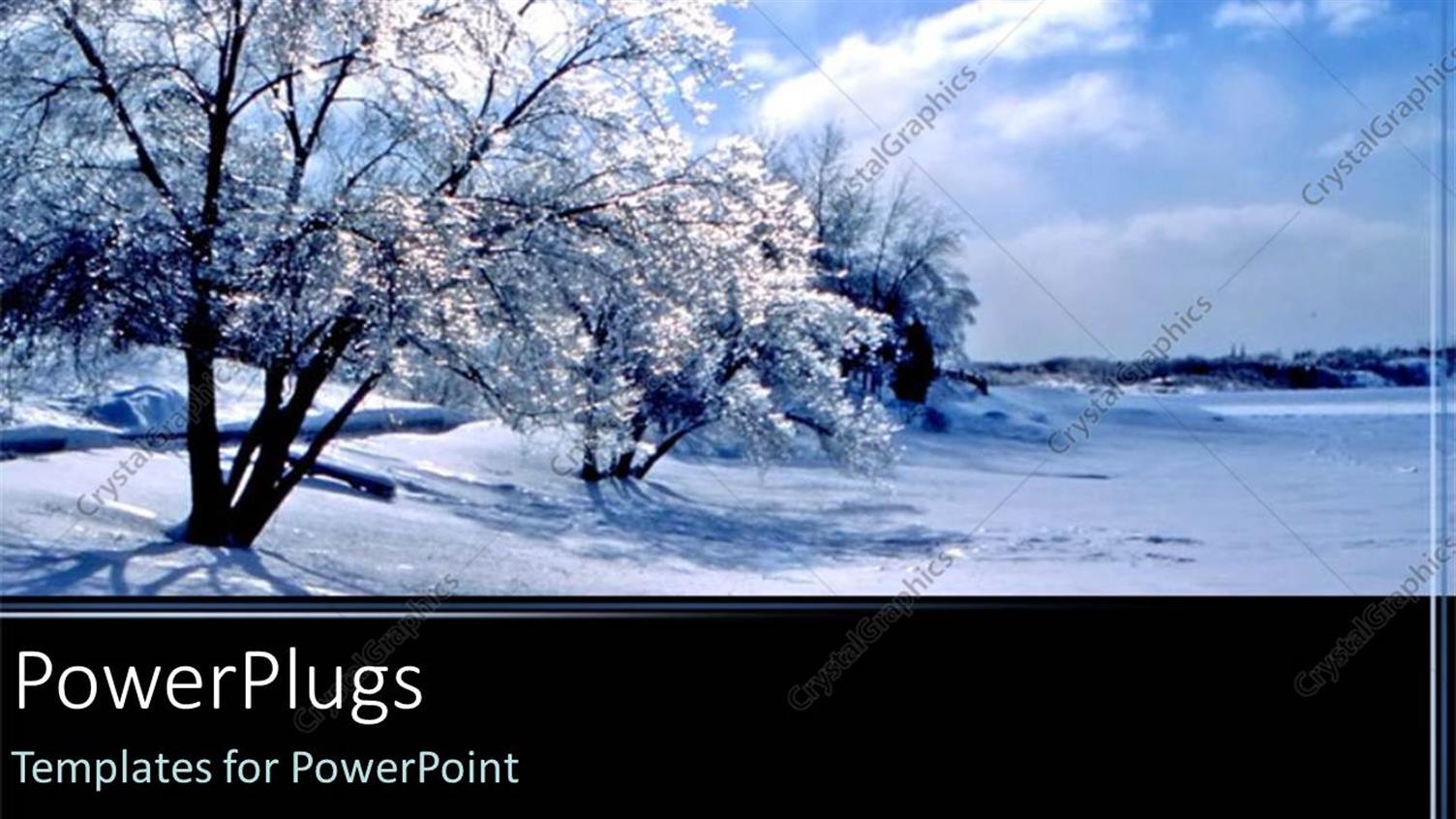 Premium Template for PowerPoint & Google Slides 