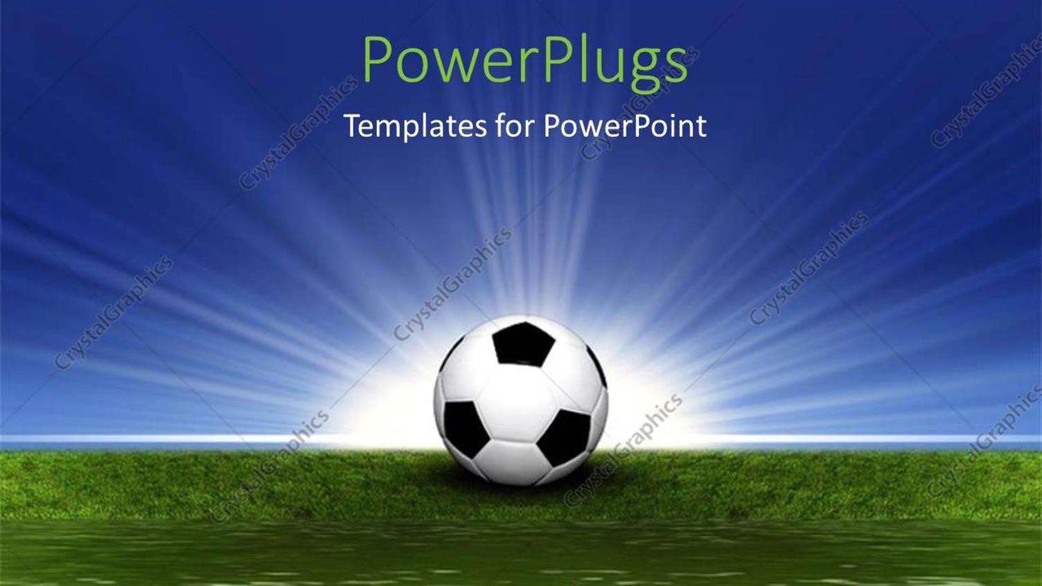 Premium Template for PowerPoint & Google Slides 