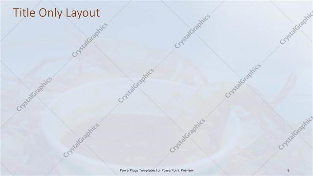 Title Only presentation slide layout