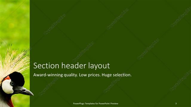 Section Header presentation slide layout