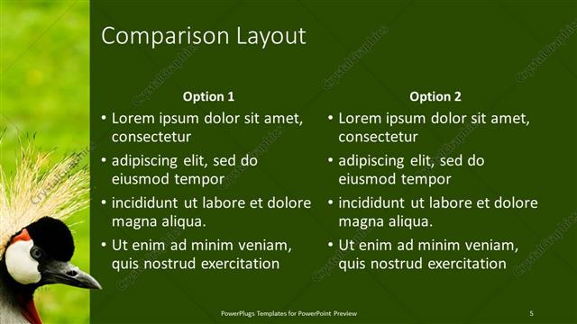 Comparison presentation slide layout