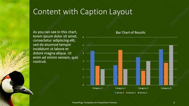 Content with Caption presentation slide layout