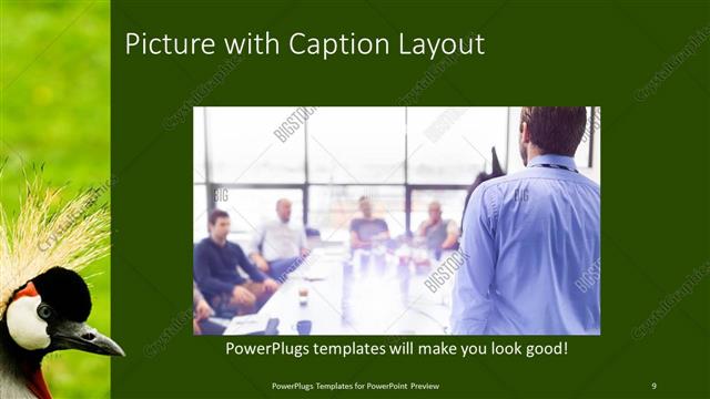 Picture with Caption presentation slide layout