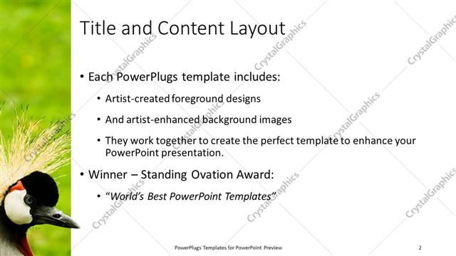 Title and Content presentation slide layout