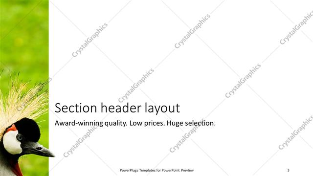 Section Header presentation slide layout