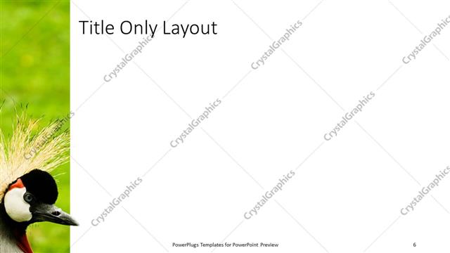 Title Only presentation slide layout