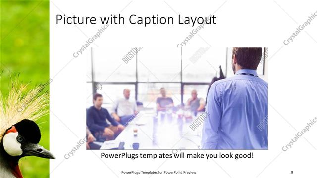 Picture with Caption presentation slide layout