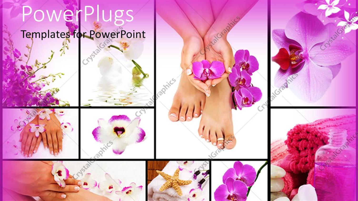 Premium Template for PowerPoint & Google Slides 